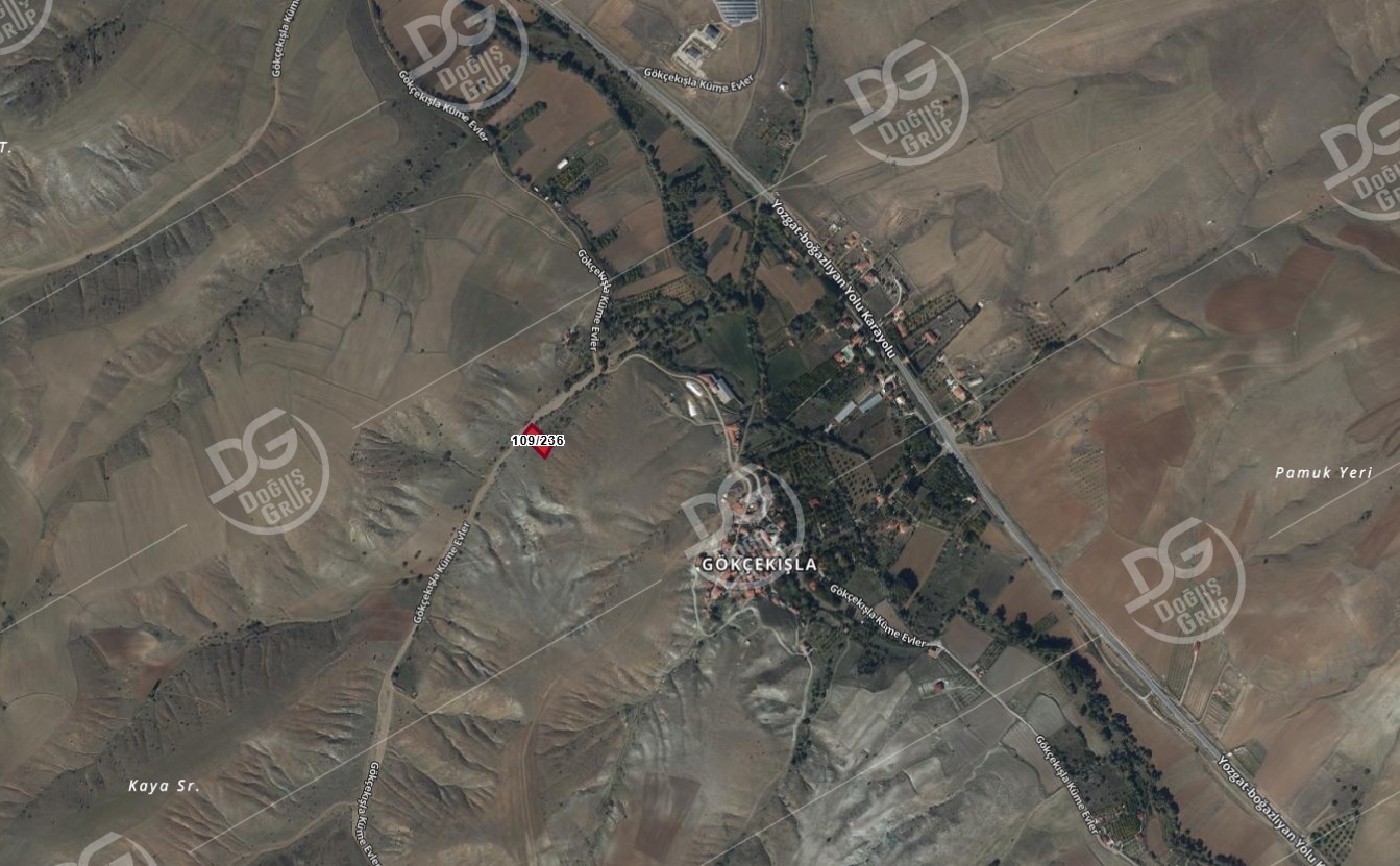 GÖKÇEKIŞLA MEVKİİNDE 1.289 m² SATILIK BAĞ